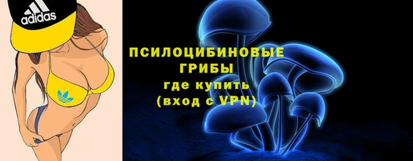 не бодяженный Лабытнанги